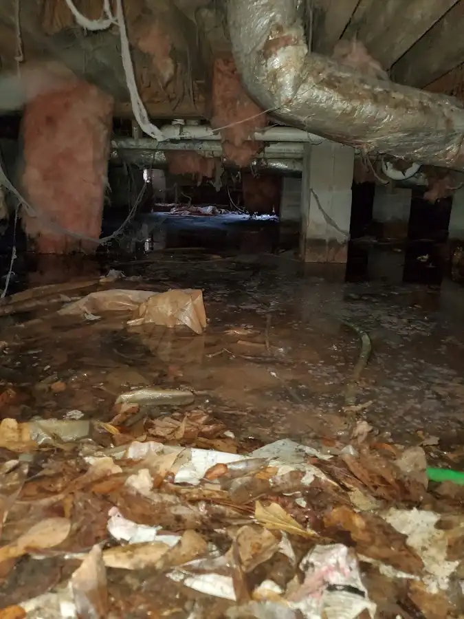 Crawl space flood assessment for Leak Detection & Repair in Escalon