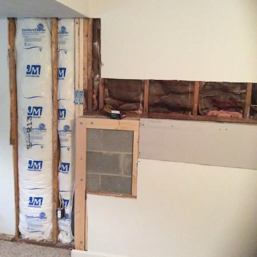 Wall insulation replacement during Odor Removal & Deodorization in Escalon